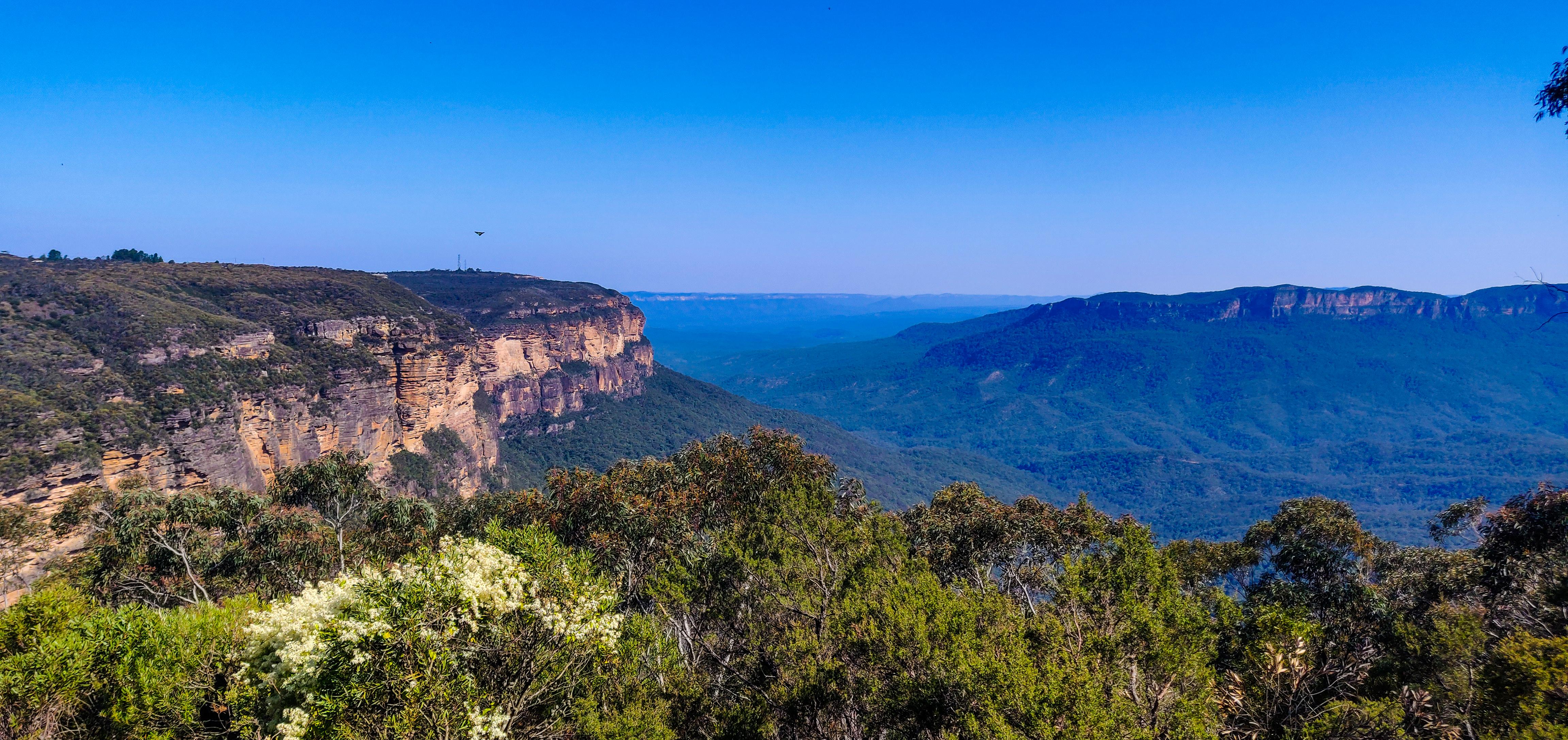 Jamison Lookout